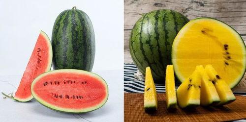 516117吃瓜群,网络热议背后的真相与趣味