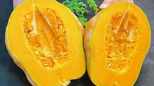 秋天可以吃茄瓜吗,茄瓜的丰收与美味享用指南