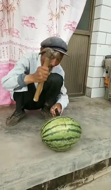 老铁吃黄皮瓜,黄皮瓜的诱惑之旅