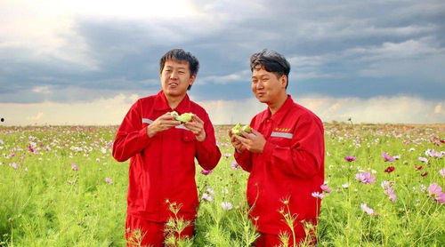 迎风摇曳吃瓜,尽享夏日吃瓜时光