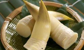 吃竹笋可以吃籽瓜不,健康饮食的完美搭配