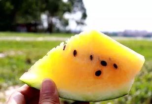 628网爆吃瓜,揭秘网络热议背后的真相