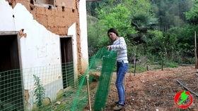 吃瓜女生卡在学校围栏上,校园一幕引发热议