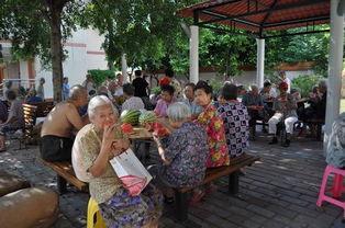 山上凉亭吃瓜,瓜香四溢的夏日时光