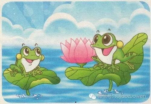 吃瓜开心呱呱呱,呱呱呱，探寻瓜界欢乐源泉