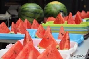 吃瓜大赛比赛奖品,吃瓜大赛丰厚奖品大盘点