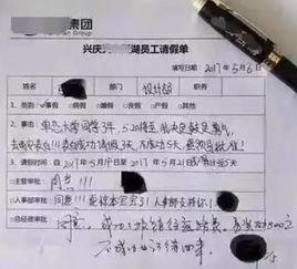 吃瓜请假,揭秘“吃瓜请假”现象背后的故事