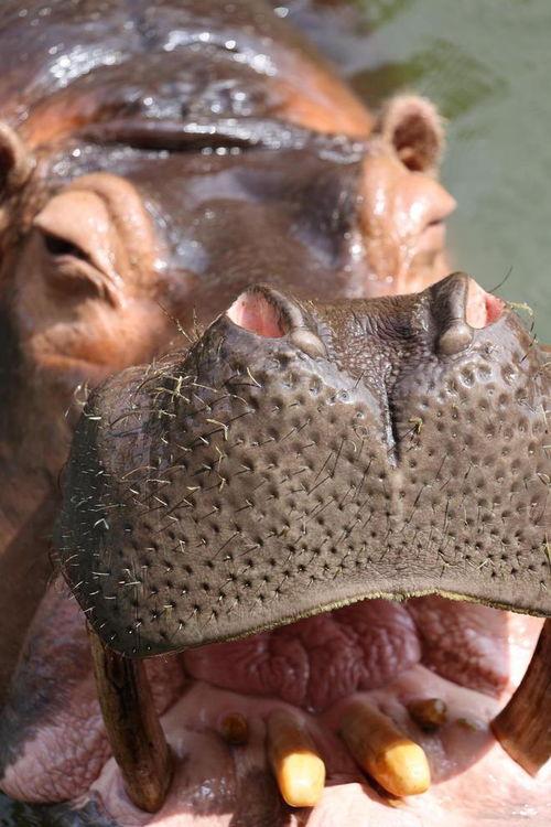 忠实吃瓜,忠实吃瓜群众揭秘娱乐圈幕后真相