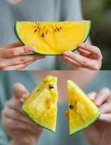 衢州农村人吃瓜,夏日里的田园美味生活