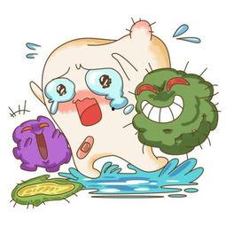 梳子吃瓜,一场奇妙的跨界之旅