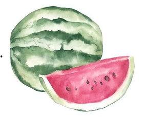 鳄鱼皮吃瓜,揭秘鳄鱼皮与美食的奇妙邂逅