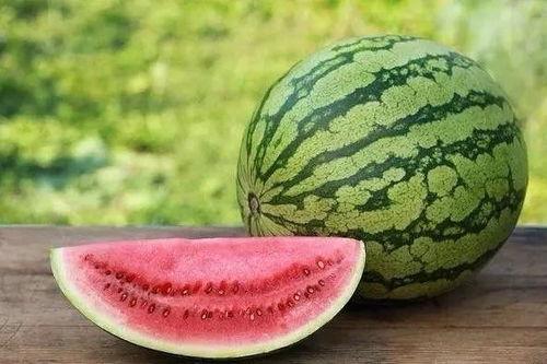 吃不吃瓜黄瓜还是西瓜,吃瓜还是西瓜，揭秘黄瓜与西瓜的饮食奥秘