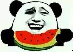 重重熊猫吃瓜群众,揭秘网络时代的趣味现象