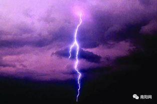 吃瓜紫色闪电,揭秘神秘吃瓜界的传奇人物