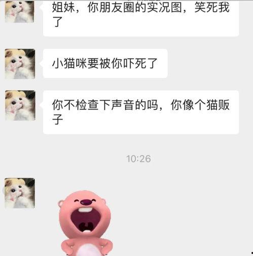 微信聊吃瓜,揭秘网络八卦背后的真相与趣味