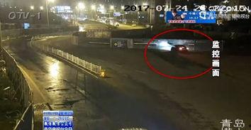 吃瓜看热闹被误杀,吃瓜看热闹误入命案漩涡