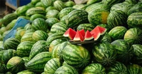 曜却有心吃瓜,揭秘娱乐圈的甜蜜与苦涩