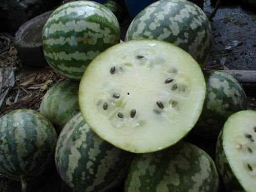 小籁瓜怎么吃,解锁美味新体验