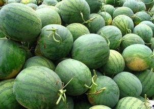 吃洋瓜的季节,清爽解暑的时令美味