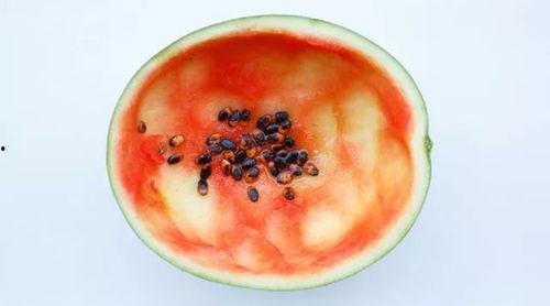 勺子 吃瓜,揭秘美食与娱乐的跨界融合