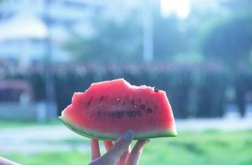 安静吃瓜的图片